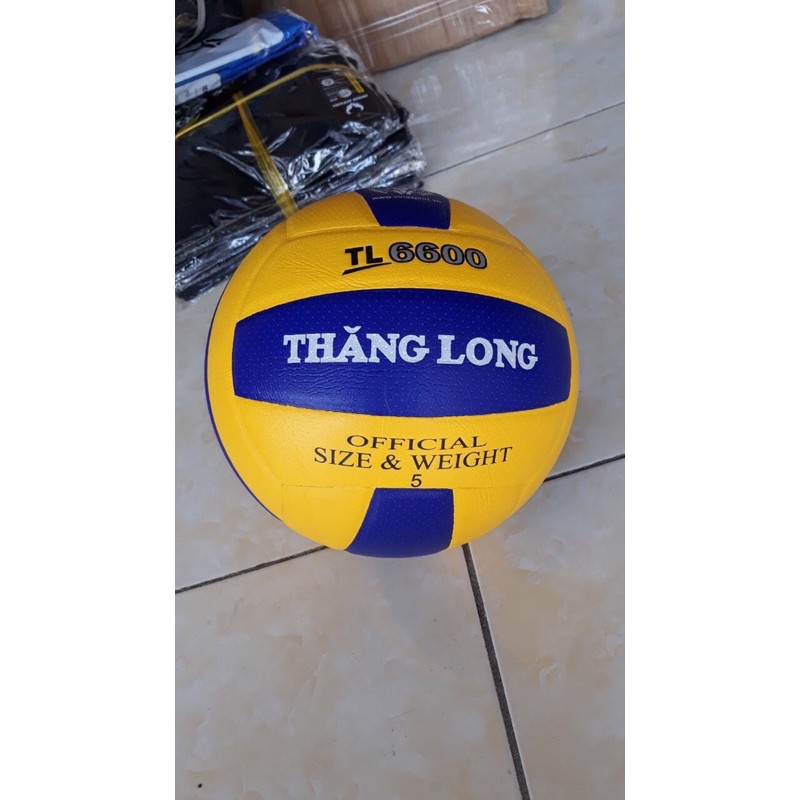 bóng chuyền 6600