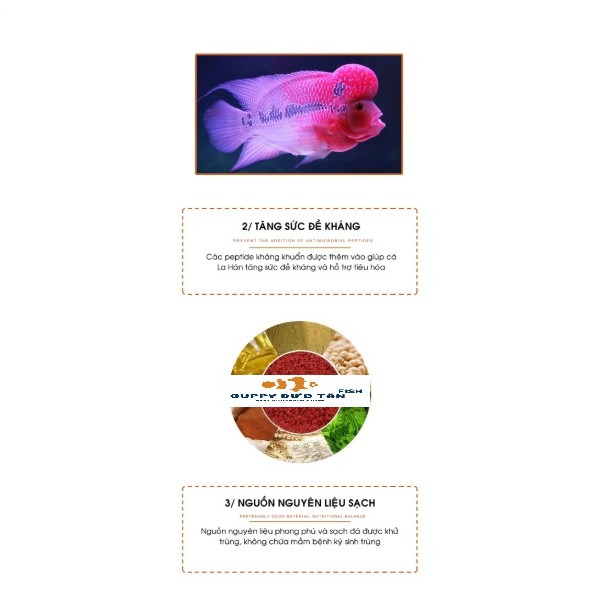 Thức ăn cho cá La Hán, Cám cá La Hán tăng màu, tăng đầu