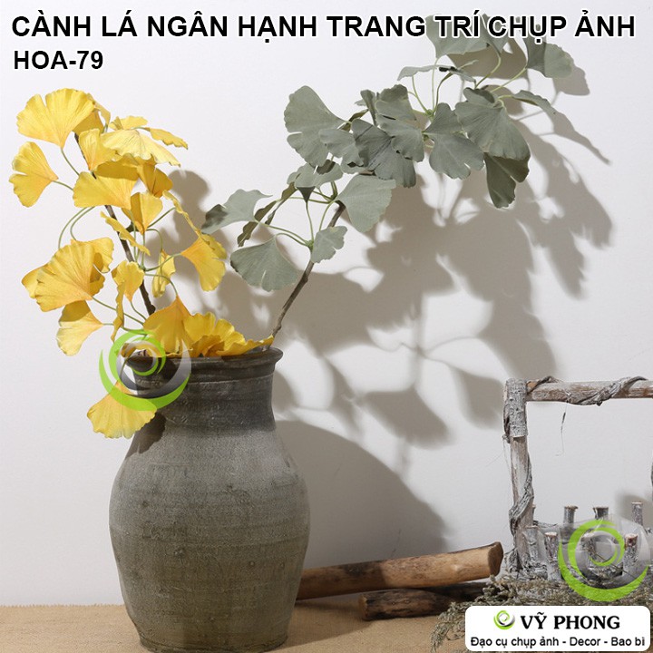 CÀNH LÁ NGÂN HẠNH RẼ QUẠT TRANG TRÍ ĐÁM CƯỚI ĐẠO CỤ CHỤP ẢNH SẢN PHẨM INS HOA-79