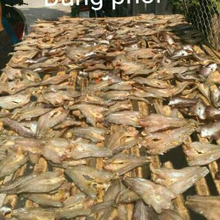 Khô cá lóc đồng ( 1kg)