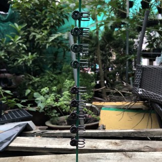 10 kẹp bướm cố định hoa lan