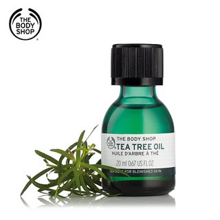 Tinh dầu tràm trà Tea tree oil The Body Shop | BigBuy360 - bigbuy360.vn