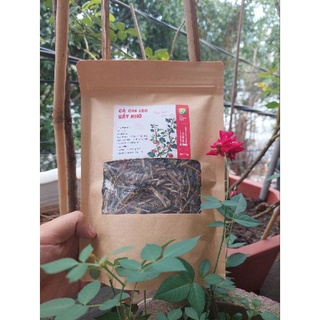 Trà cà gai leo gói lớn 70gram