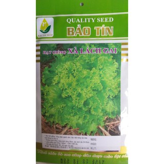 Hạt Giống Cải Xà Lách Xoăn - Xà Lách Gai 5gr