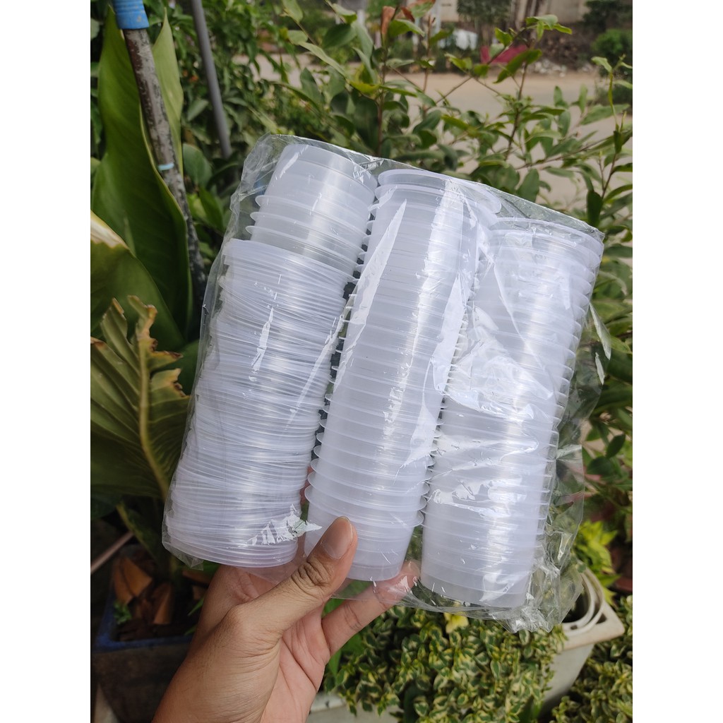 Lốc 50 khuôn nhựa đổ bánh flan - Hủ sữa chua, rau câu