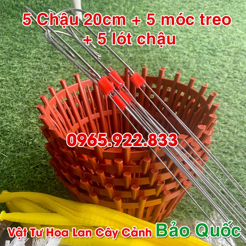 5 Chậu trồng lan 20cm + 5 Móc Treo + 5 Lót Chậu