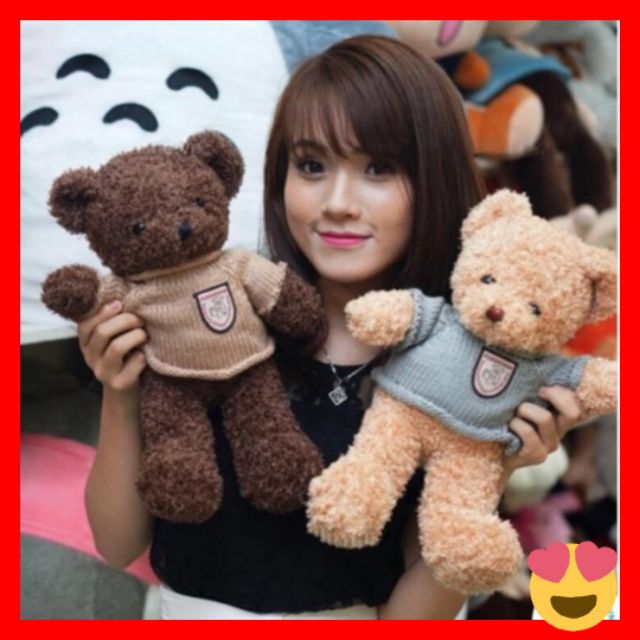 Gấu bông Teddy mặc áo len