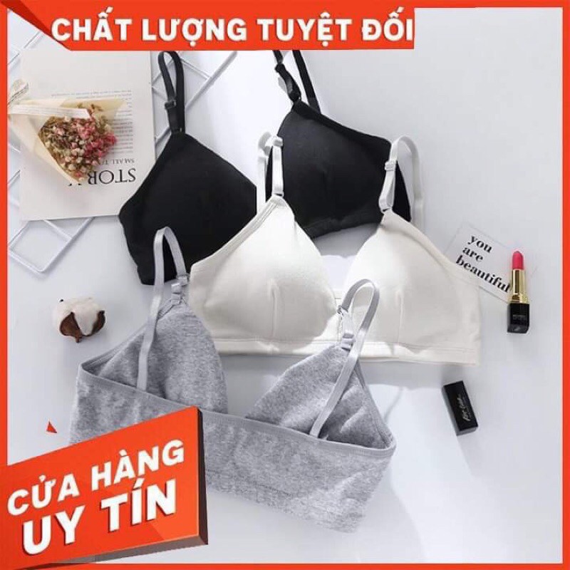 [ BRA LÁ CÓ MÚT ] Áo Bra Với 3 Tông Màu Cute Dễ Dàng Sử Dụng - Áo Có Kèm Mút - Hai Dây Nhẹ Nhàng - Giặt Tay Máy Thoải Má