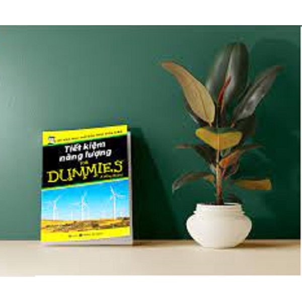 Sách - Tiết Kiệm Năng Lượng For Dummies - Michael Grosvenor