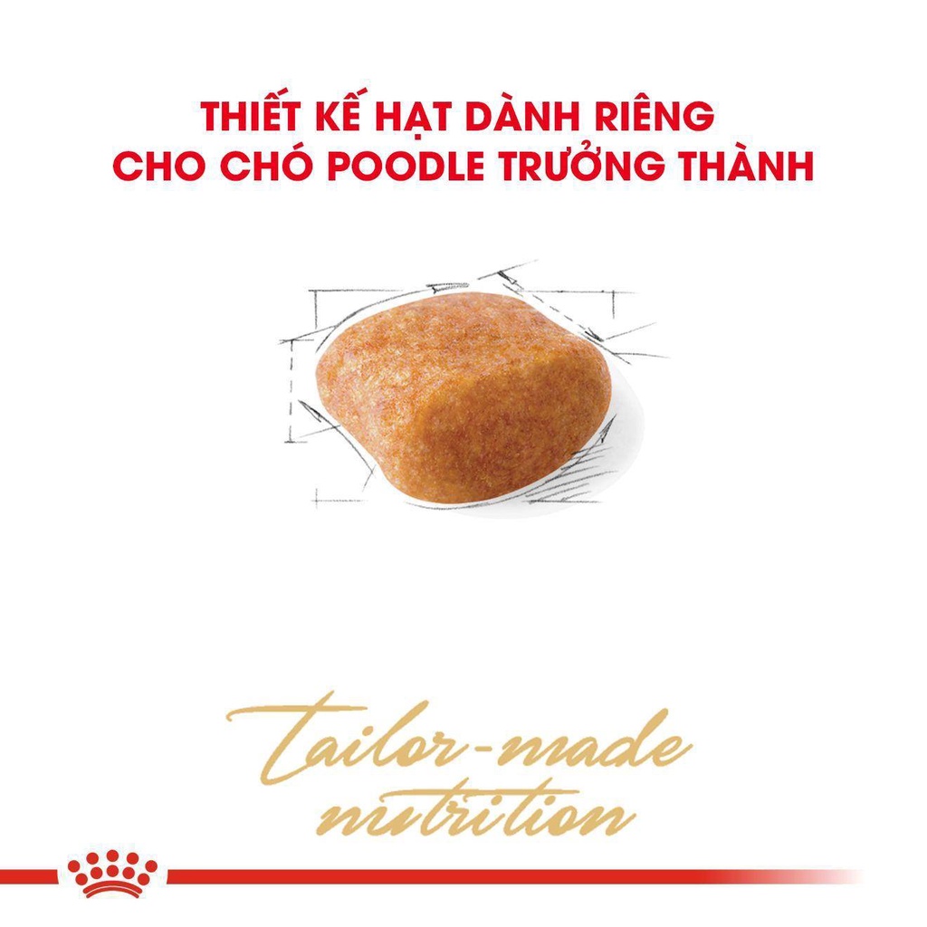 [1.5kg ] Royal Canin Poodle Puppy / Poodle Adult Thức ăn cho chó con , chó trưởng thành
