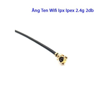 Ăng ten wifi ipx ipex 2.4g 2db