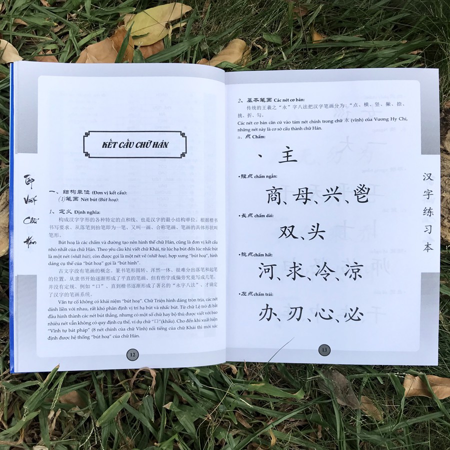 Sách - Tập viết chữ hán - Theo giáo trình Hán ngữ - Phiên bản mới | BigBuy360 - bigbuy360.vn