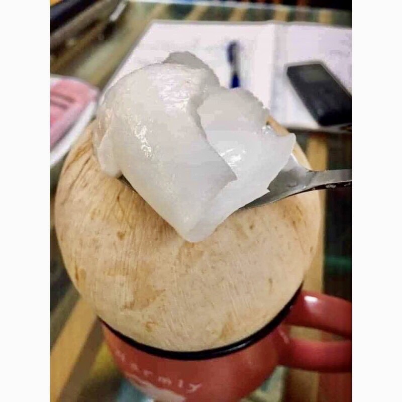 DỪA XIÊM TRỌC BẾN TRE 400g- 600g TẠI HÀ NỘI - DỪA XIÊM XANH BỎ CÙI