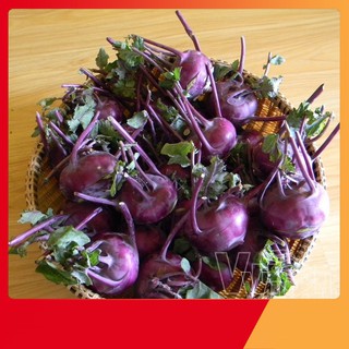 Hạt Giống Su Hào Tím