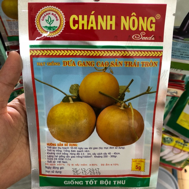Hạt giống dưa gang cao sản trái tròn ( 5g)