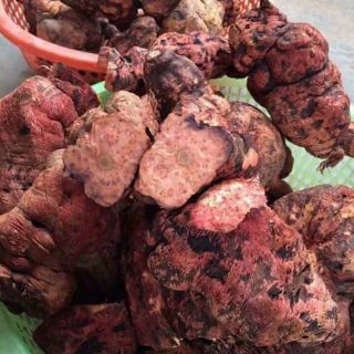 BỘT HÀ THỦ Ô ĐỎ 500g