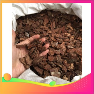 [Hàng chuẩn zin] [Hàng đẹp] 1kg Vỏ thông đỏ trồng lan dk 3-5