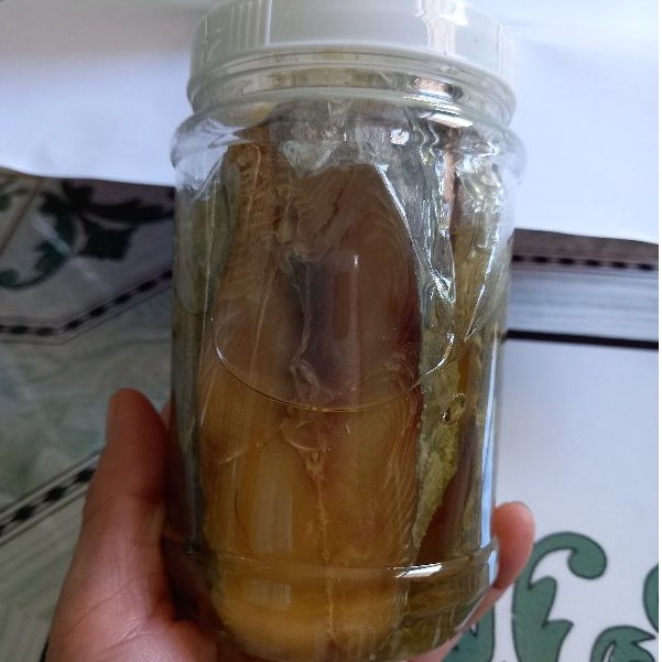 MẮM CÁ THU PHÚ YÊN