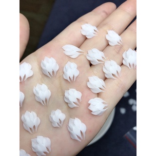 hoa bột nail- hoa nửa- hoa ẩn