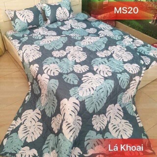 4 sét ga chun m6 300k