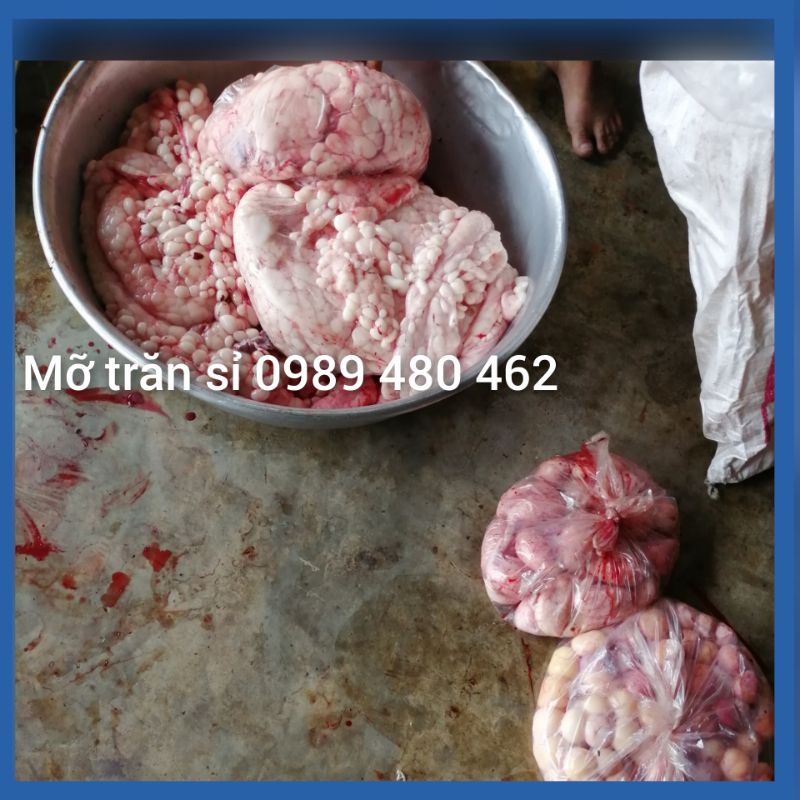 1kg Mỡ Trăn Tươi