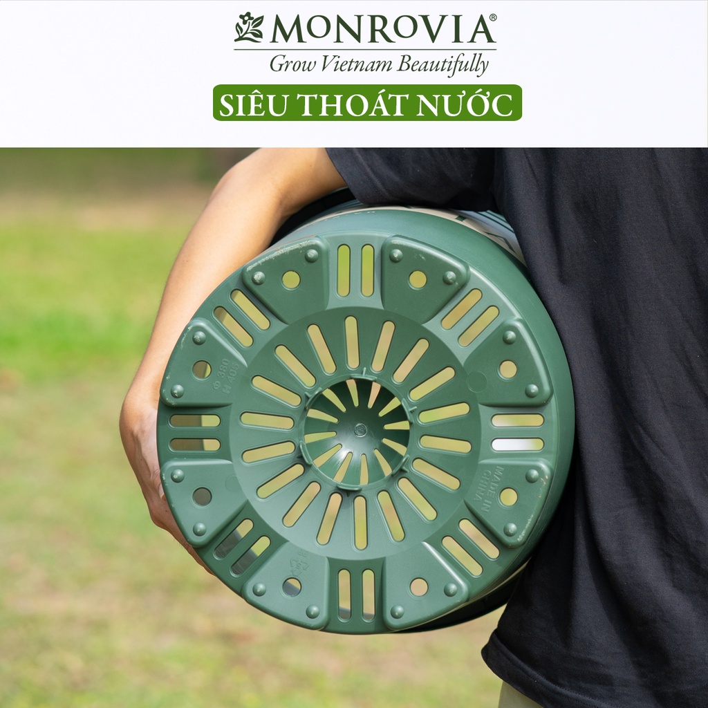 Chậu trồng cây MONROVIA cho hoa hồng, cây cảnh mini, trồng rau, để bàn, treo ban công, tiêu chuẩn Châu Âu