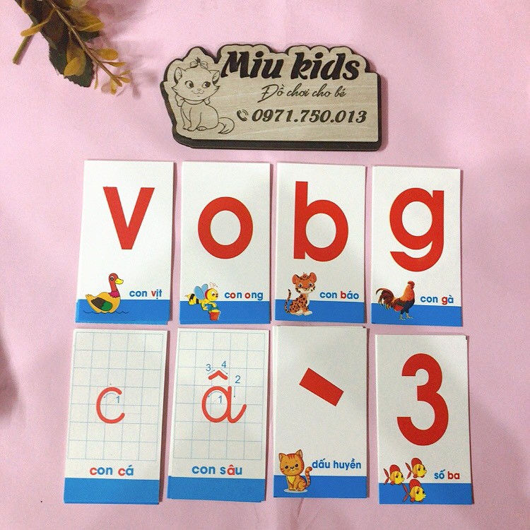 Thẻ học thông minh cho bé, flashcard 16 chủ đề 416 thẻ LOẠI CHUẨN Glen Doman