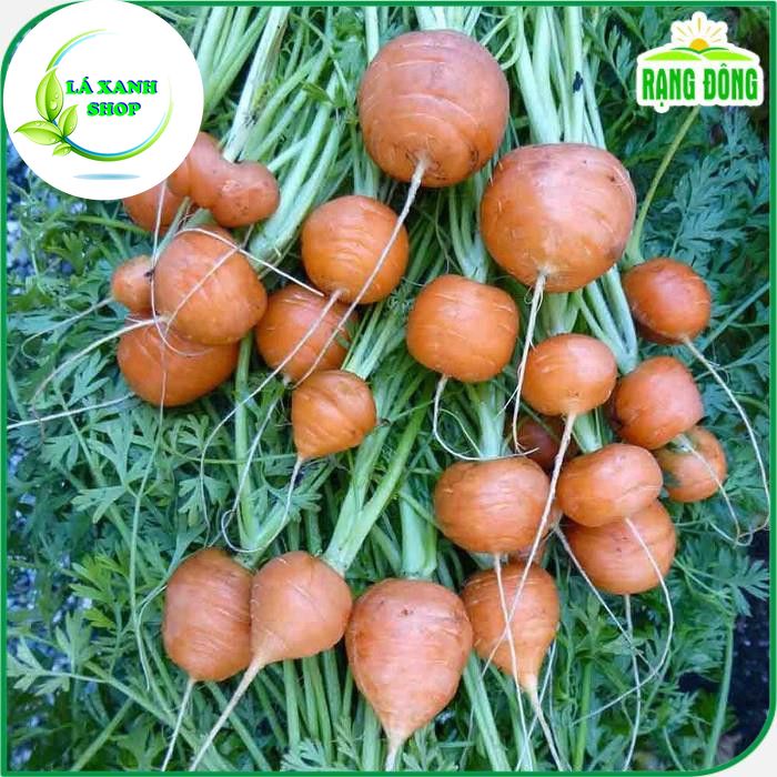 Hạt giống Cà Rốt Củ Tròn Dễ Chăm Sóc, Trồng Quanh Năm (gói 1 gram) - Hạt giống Rạng Đông