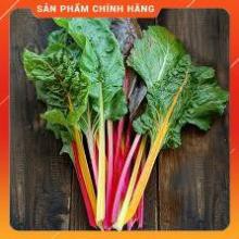 HẠT GIỐNG CẢI BẨY SẮC CẦU VỒNG GÓI 25/30 HẠT