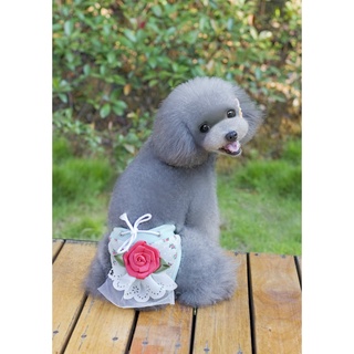 Cute physiological diapers for pets