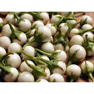 Hạt giống Cà pháo trắng - Gói 50 hạt