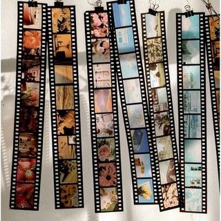 Dây Sticker Film 📷