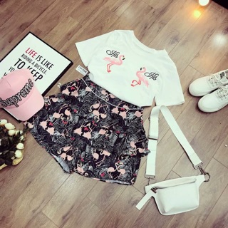 Set Hồng Hạc Giang Zozo
