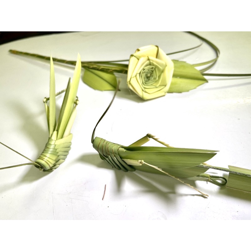 Cào Cào Lá Dừa /Đồ Chơi An Toàn /Quà Tặng/HandMade