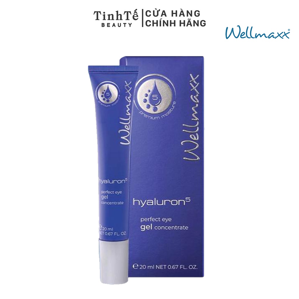 Gel dưỡng mắt ngày đêm Wellmaxx Hyaluron Perfect Eye Gel Concentrate 20ml