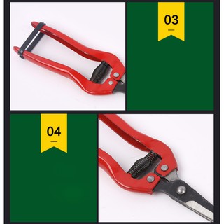 Kéo cắt tỉa cành hoa lá 18,5cm - DEVELOPE 899