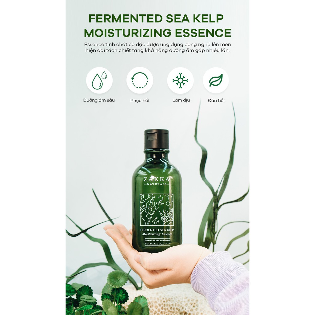 Tinh Chất Dưỡng Ẩm, Phục Hồi Da Zakka Naturals Chiết Xuất Tảo Biển Lên Men Fermented Sea Kelp Moisturizing Essence 300ml | BigBuy360 - bigbuy360.vn