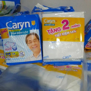 Hàng tặng tấm  Đệm Lót Caryn XL14 (tặng 2mieng)