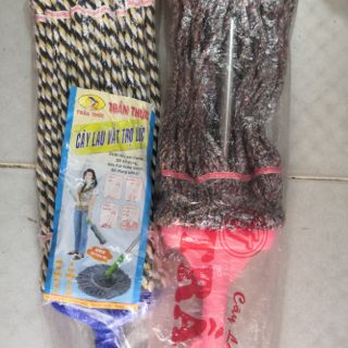 Cây lau nhà trần thức