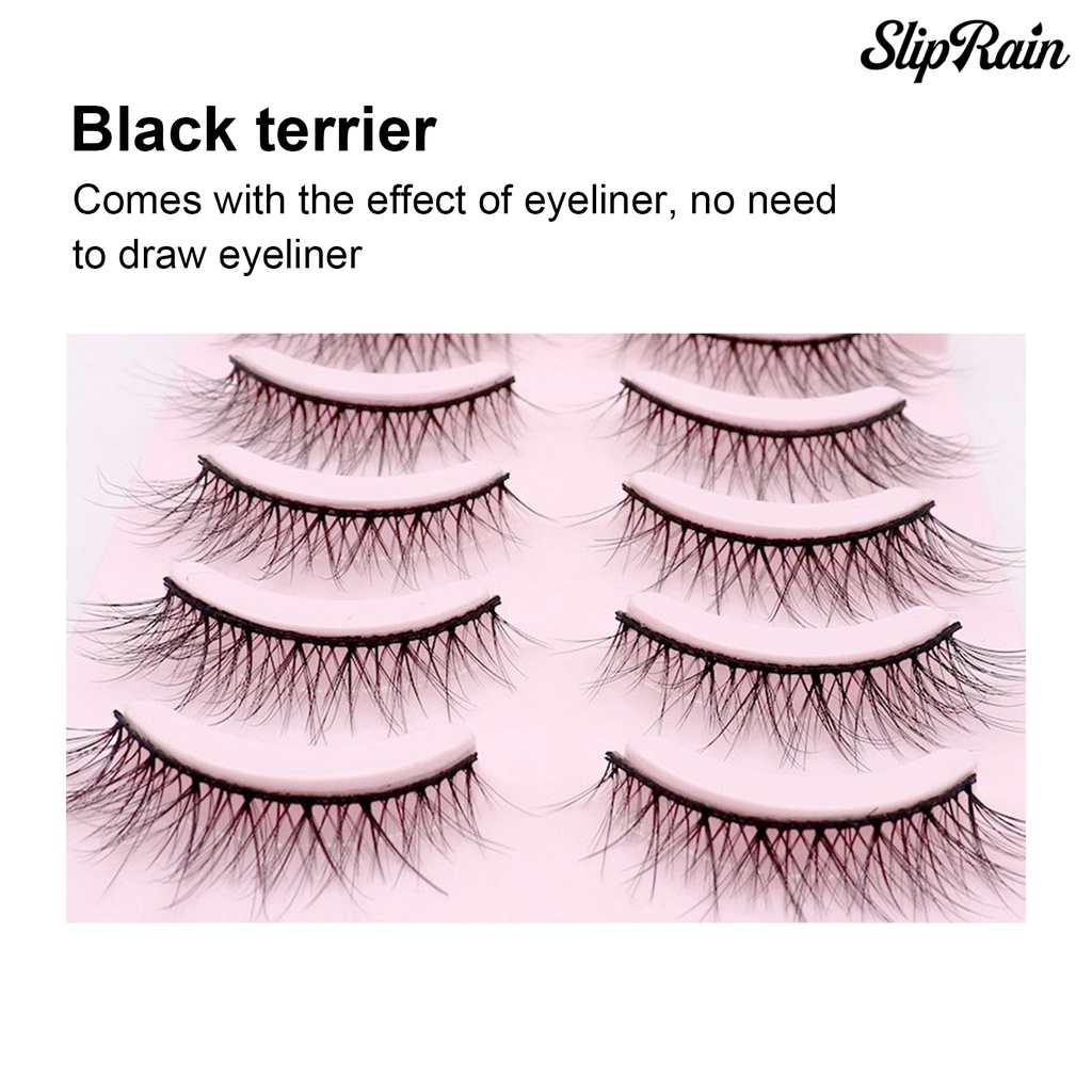 Set 5 cặp lông mi giả nối dài cho nữ | BigBuy360 - bigbuy360.vn