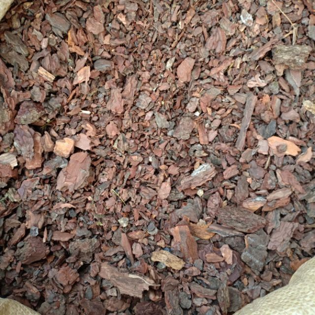 (giá rẻ) VỎ THÔNG (ươm kei, trồng lan, rải chậu) 400-500gram