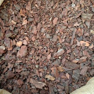 (giá rẻ) VỎ THÔNG (ươm kei, trồng lan, rải chậu) 400-500gram
