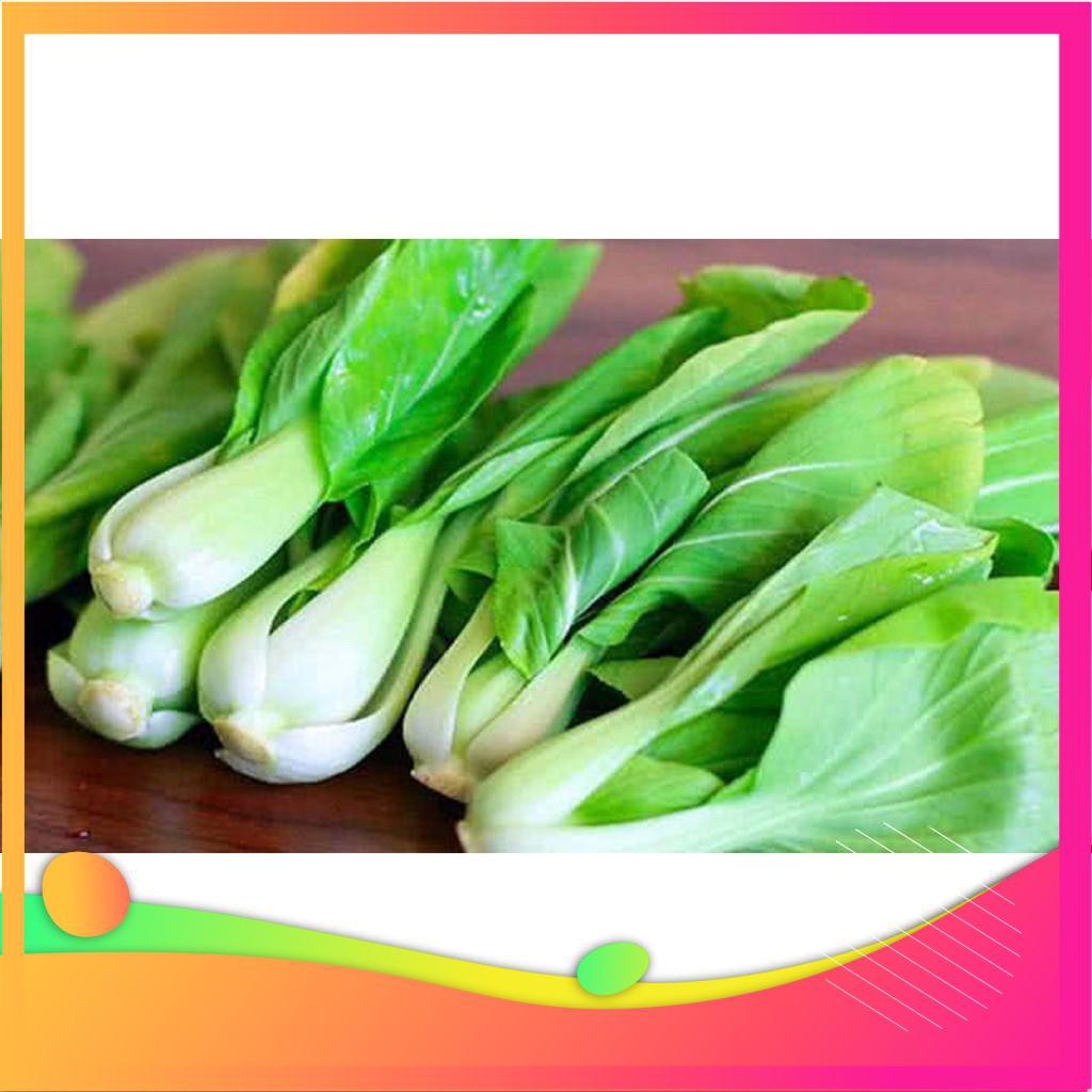 Hạt Giống Cải Chít - 100 Hạt  VIETGAR