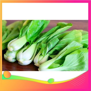 Hạt Giống Cải Chít - 100 Hạt [ Tặng bộ dụng cụ làm vườn Mini 3 món ] VIETGAR