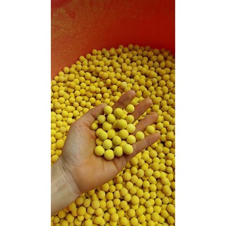 [TRỢ GIÁ] - 500G viên tinh bột nghệ mật ong