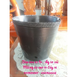 Bầu ươm cây 26x21a 1kg 50 bầu