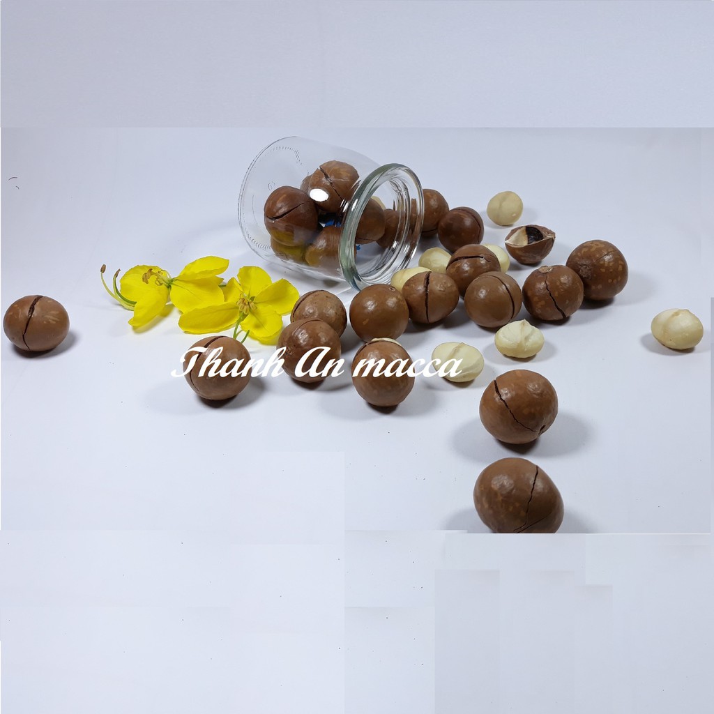 [Mã GROSALE2703 giảm 8% đơn 250K] Thanh An Macca Sạch Size Trung 500gr, Sấy Nứt Vỏ Lâm Đồng, Macadamia Kèm Lẫy | BigBuy360 - bigbuy360.vn