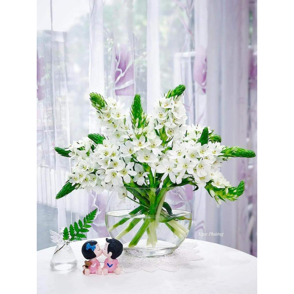 BÌNH HOA OVAL CAO CẤP