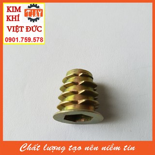 Túi ốc cấy gỗ phi 6 - 100 con