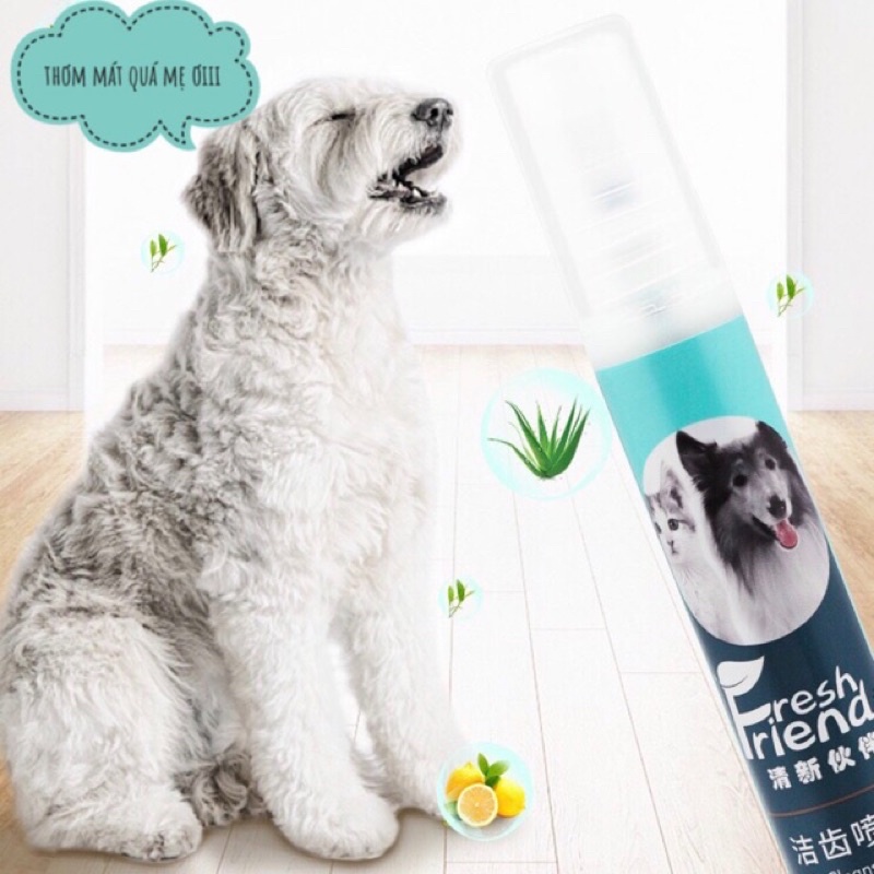 Xịt khử mùi kháng khuẩn cho thú cưng FRESH FRIENDS - khử mùi hôi miệng chó mèo